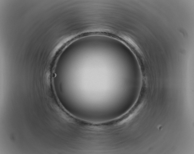X0000114390781200910161253