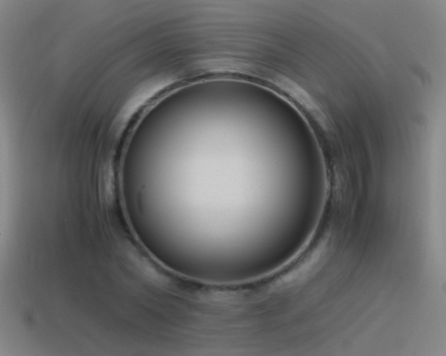 X0000114390782200910161253