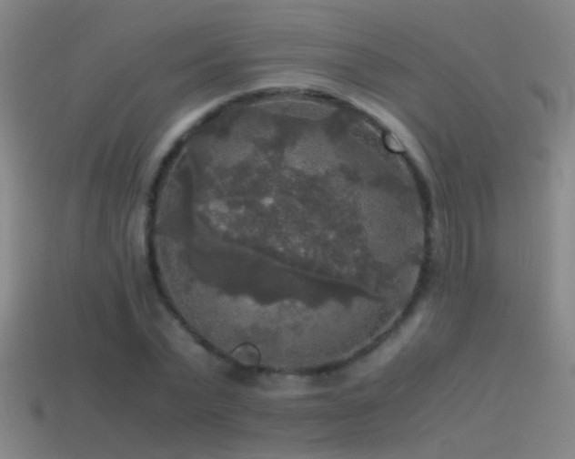 X0000114390783200910161253