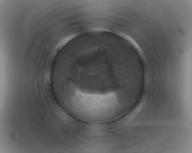 X0000114390785200910161253