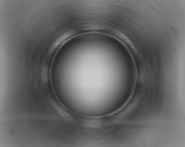 X0000114390786200910161253