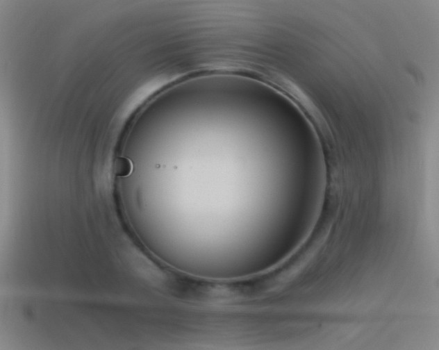 X0000114390787200910161253