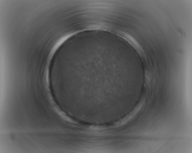 X0000114390788200910161253