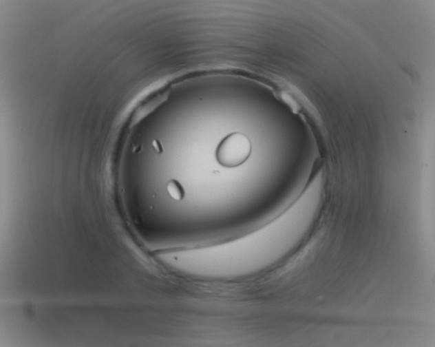 X0000114390789200910161253
