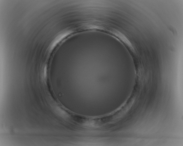 X0000114390790200910161253