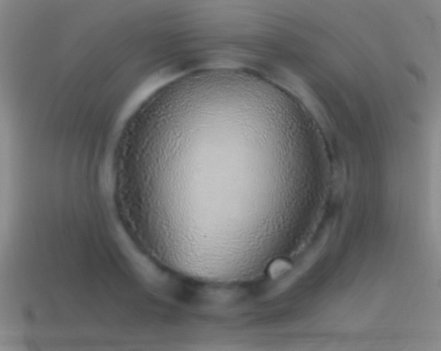 X0000114390795200910161252