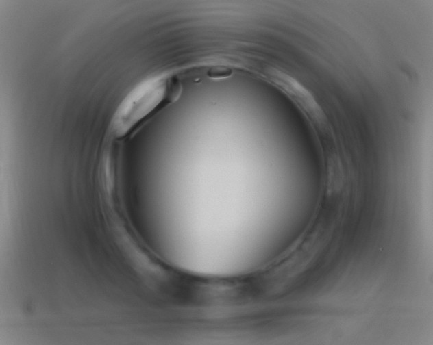 X0000114390796200910161252