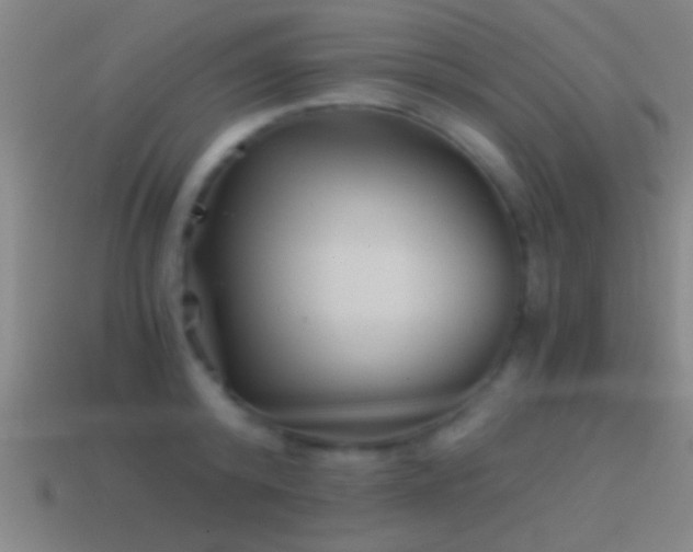 X0000114390800200910161252