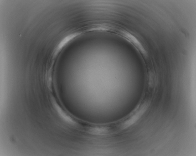 X0000114390802200910161252