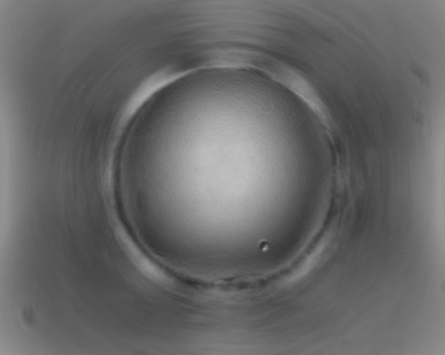 X0000114390803200910161252
