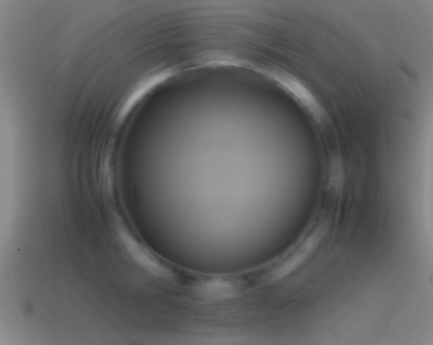 X0000114390806200910161252