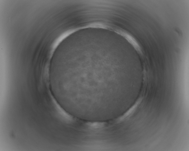 X0000114390808200910161252