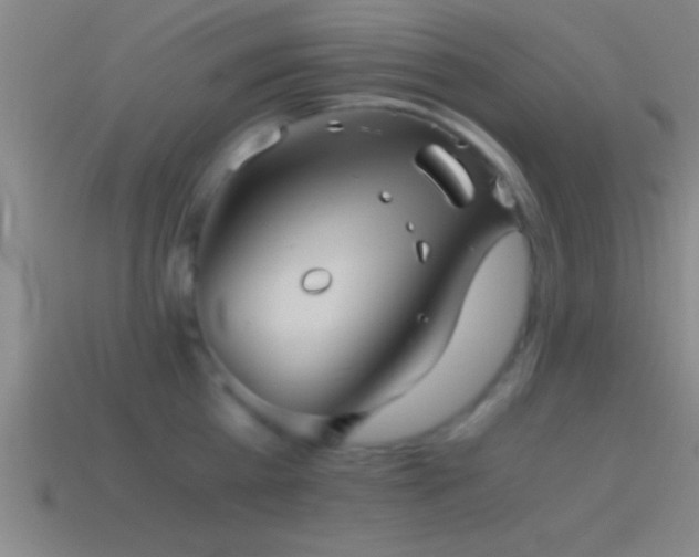 X0000114390809200910161252