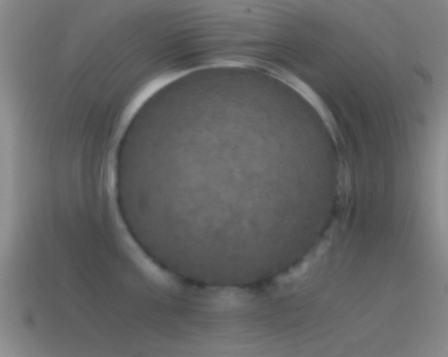 X0000114390811200910161252