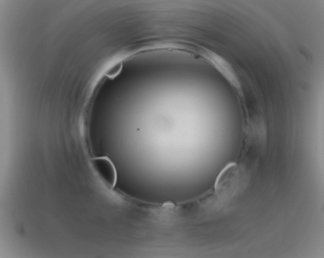 X0000114390813200910161252