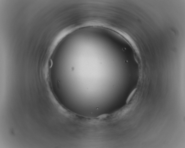 X0000114390815200910161252