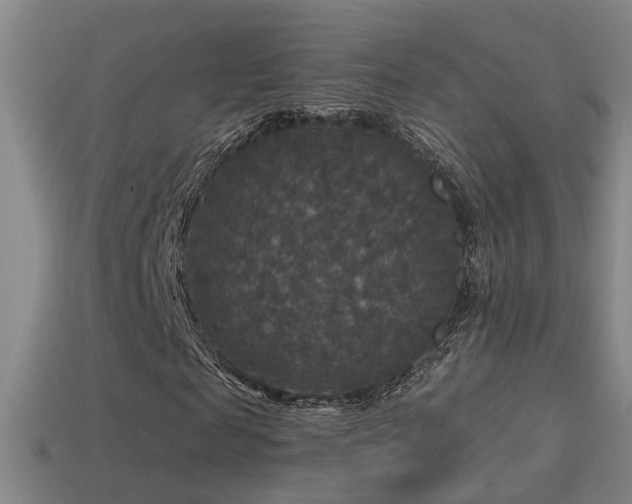 X0000114390817200910161251