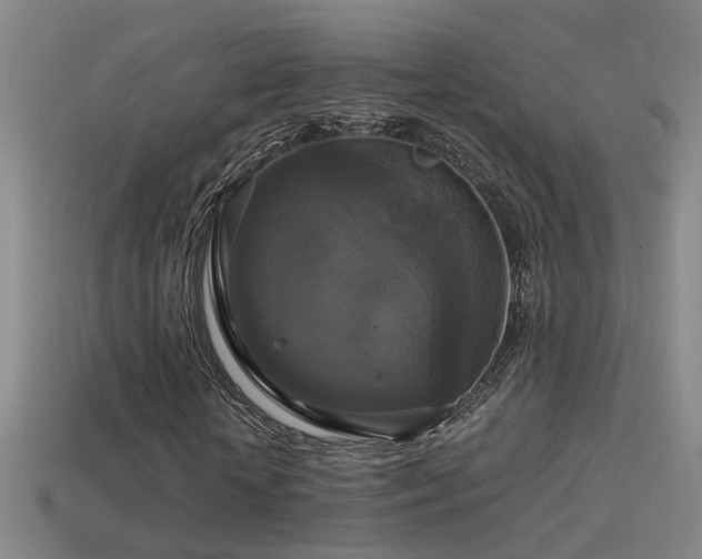 X0000114390818200910161251