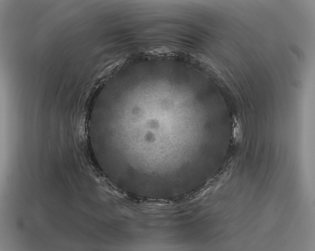 X0000114390819200910161251