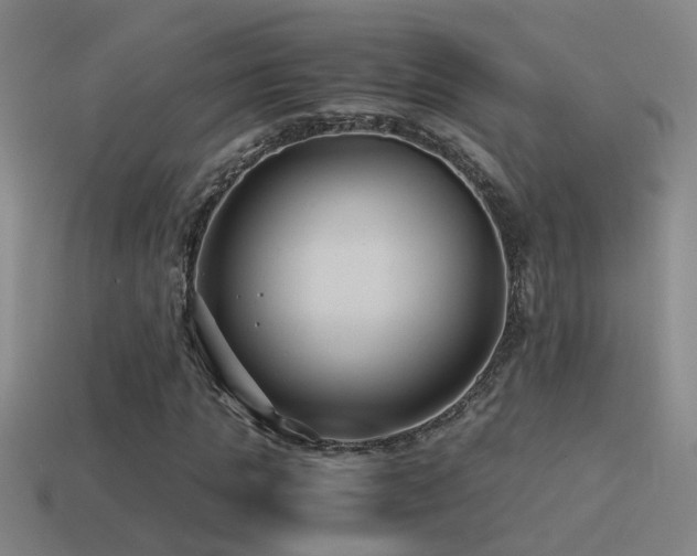 X0000114390821200910161251