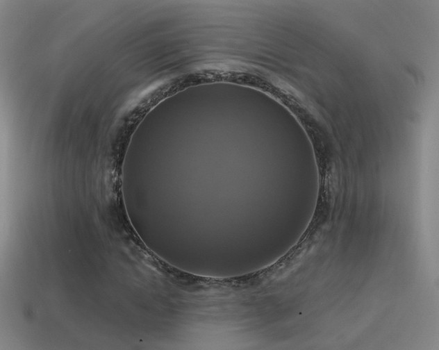 X0000114390822200910161251
