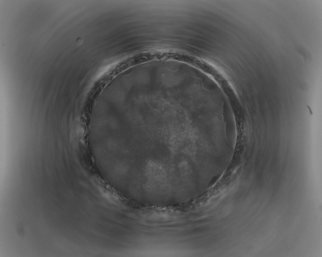 X0000114390823200910161251