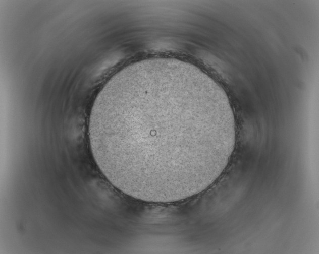 X0000114390824200910161251