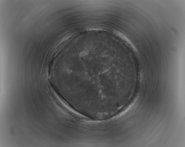 X0000114390825200910161251