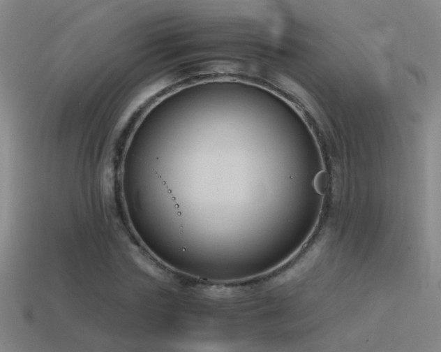 X0000114390827200910161252
