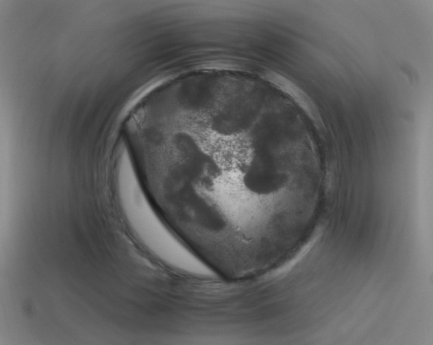 X0000114390829200910161252