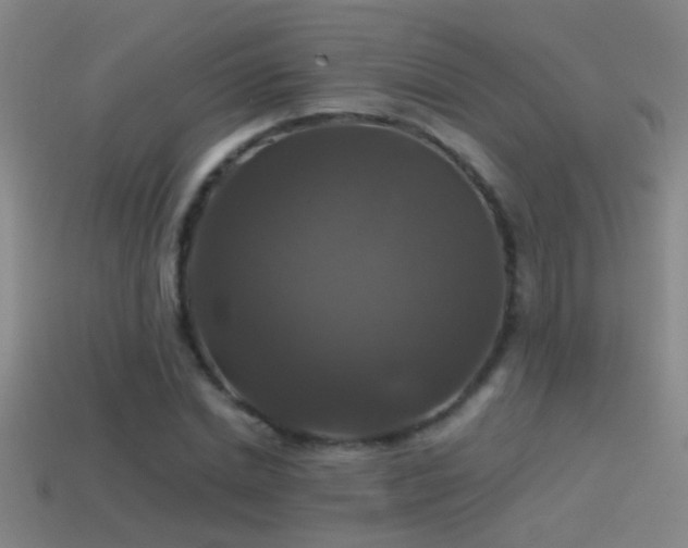 X0000114390830200910161252