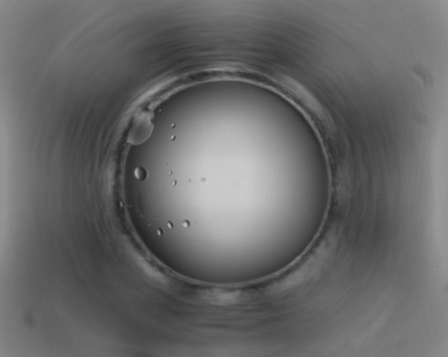 X0000114390831200910161252