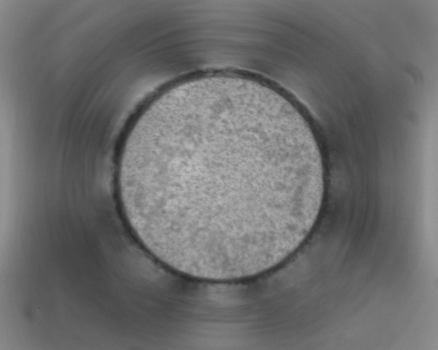 X0000114390832200910161252