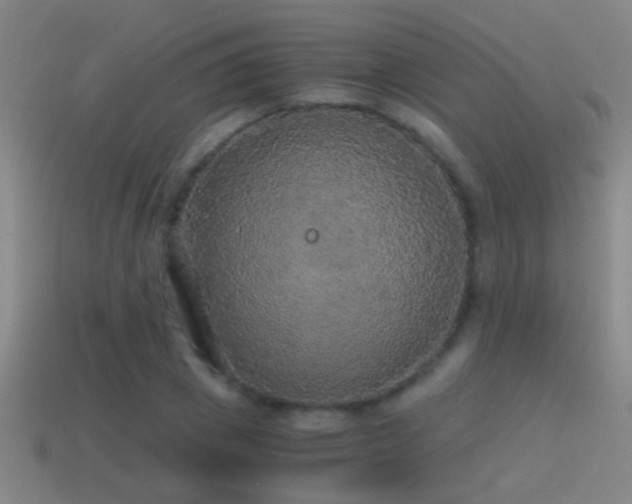 X0000114390833200910161252