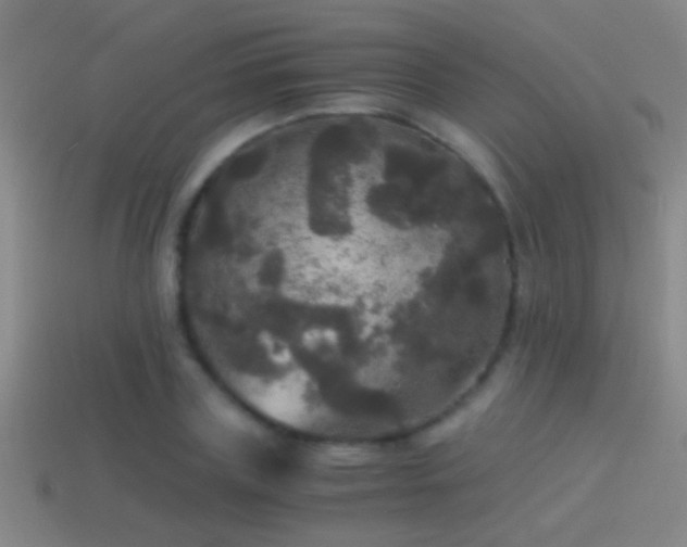 X0000114390835200910161252