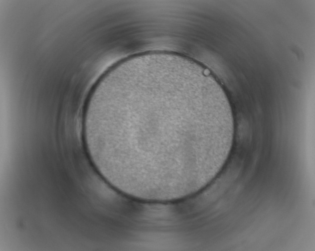 X0000114390836200910161252