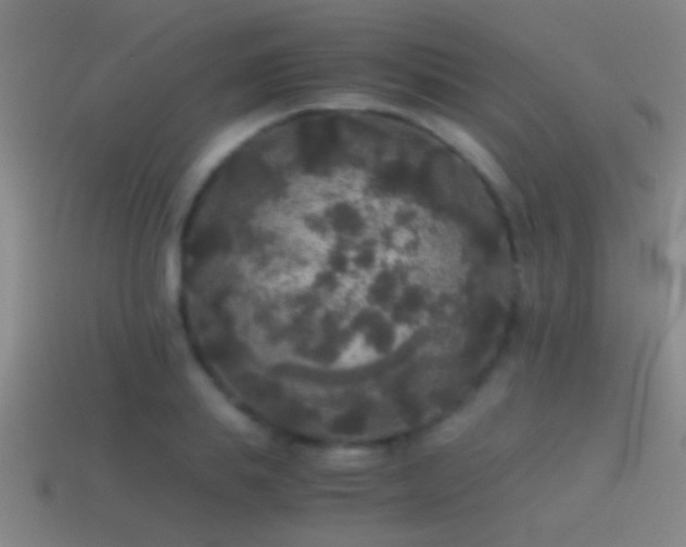 X0000114390839200910161252
