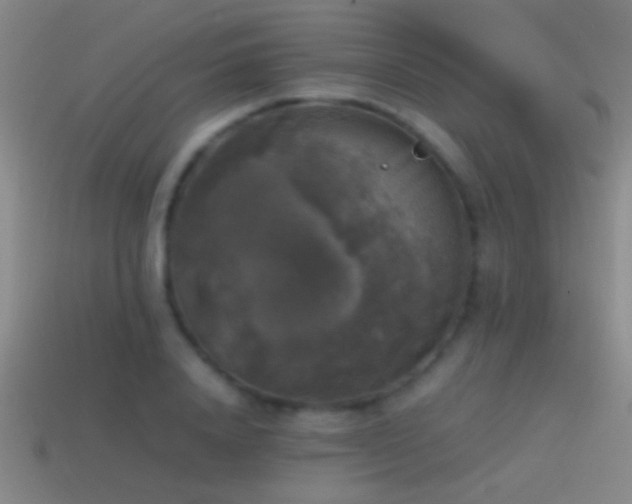 X0000114390840200910161252
