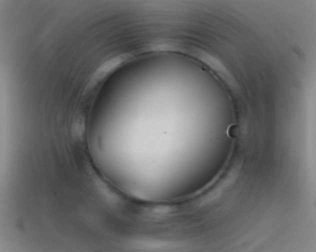 X0000114390841200910161252