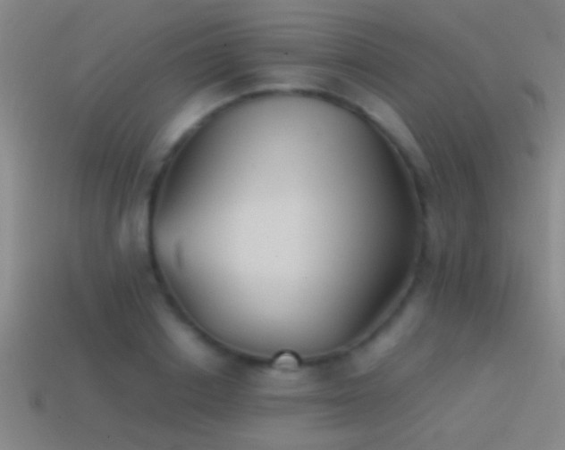 X0000114390842200910161252