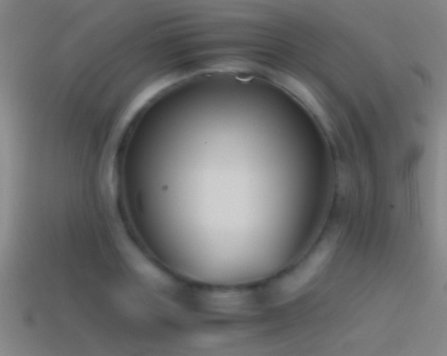 X0000114390843200910161252