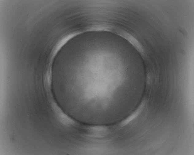X0000114390844200910161252