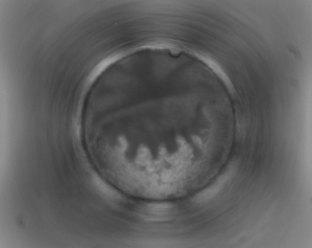 X0000114390845200910161252