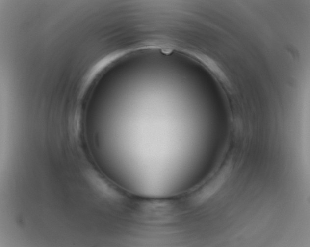 X0000114390846200910161252