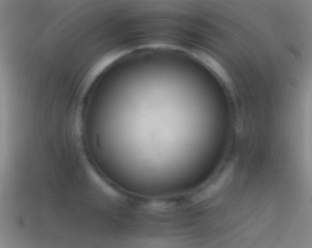 X0000114390847200910161252