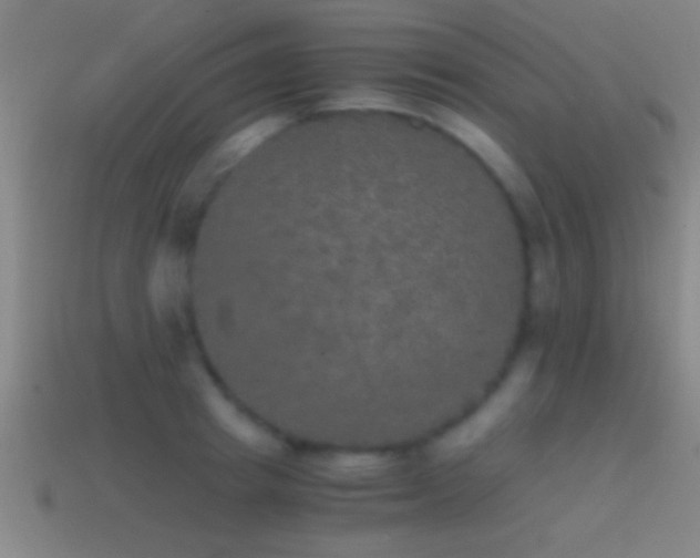 X0000114390849200910161252