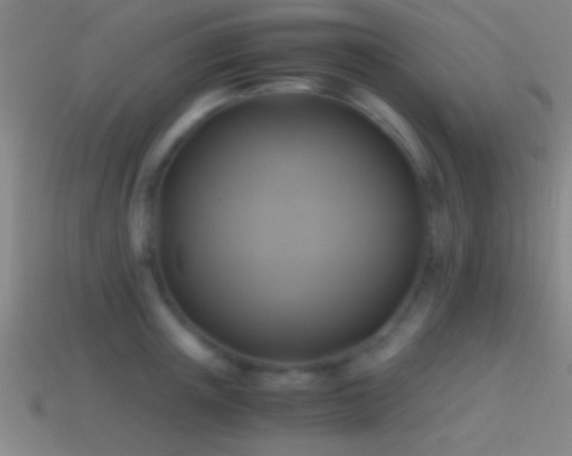 X0000114390851200910161252