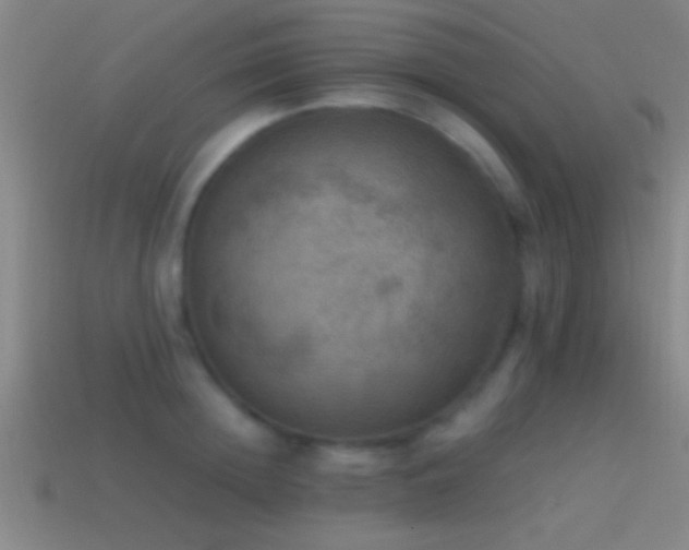 X0000114390852200910161252