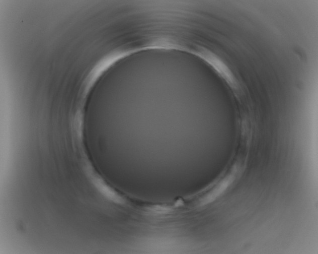 X0000114390854200910161252