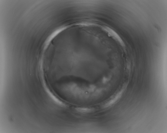 X0000114390855200910161252